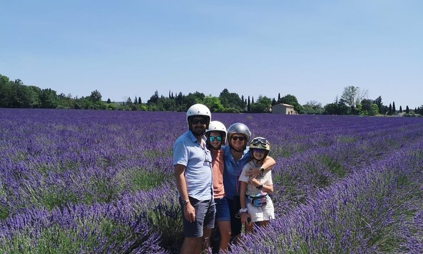 Image 9: Aix-en-Provence : Circuit des Lavandes et Vignobles en Sidecar