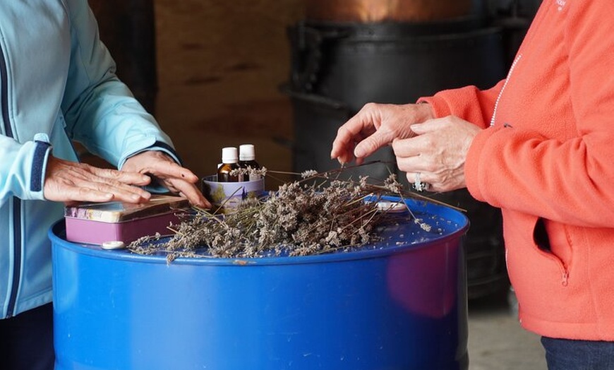 Image 2: Atelier Familial d'Aromathérapie dans une Distillerie Artisanale