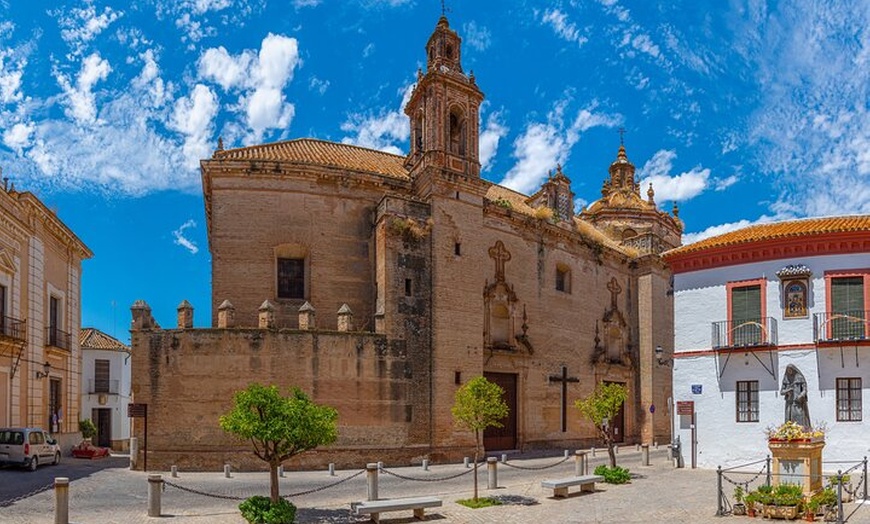 Image 3: Excursión Privada Medio Día a Carmona desde Sevilla