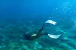 Ocean Ridge Snorkeling and Freediving Activity - Second Medium