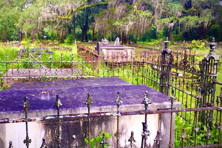 Palmetto Pioneers and Self Guided Monticello Walking Tour - Image 6