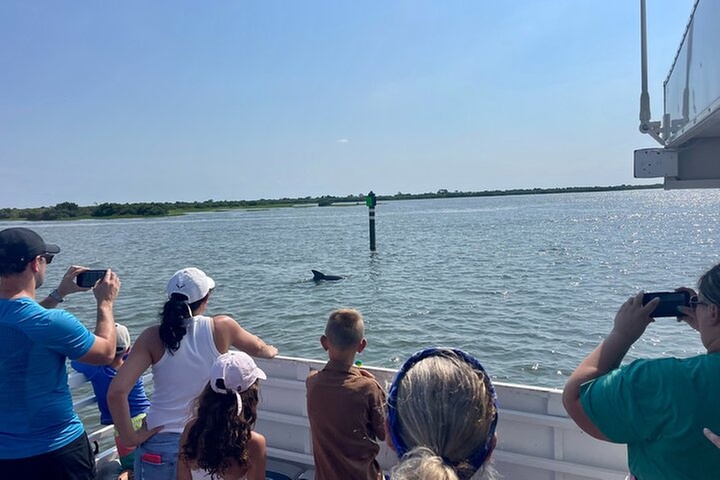 Dolphin and Wildlife Adventure of St. Augustine