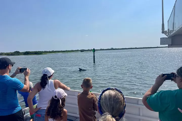 Dolphin and Wildlife Adventure of St. Augustine