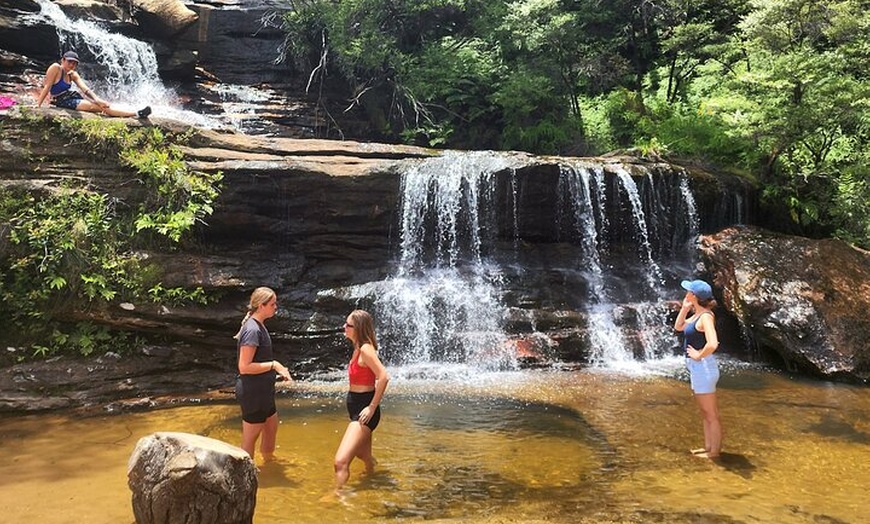 Image 24: Blue Mountains Small Group Tour with Waterfall Walk & Fresh Lunch