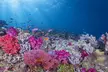 Adventures of the Lost Atlantis Bimini Road - Second Medium