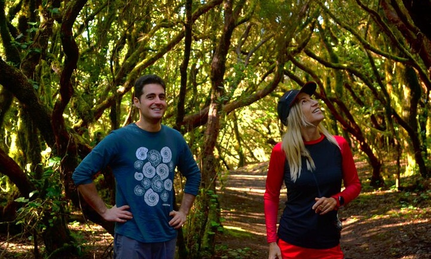 Image 3: Tour de Senderismo en Anaga : Ruta del Taborno con Vistas al Océano...