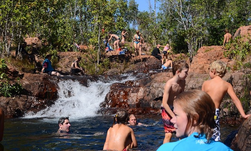 Image 6: Litchfield and Jumping Crocodiles Full Day Trip from Darwin