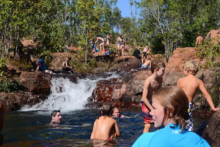 Litchfield and Jumping Crocodiles Full Day Trip from Darwin