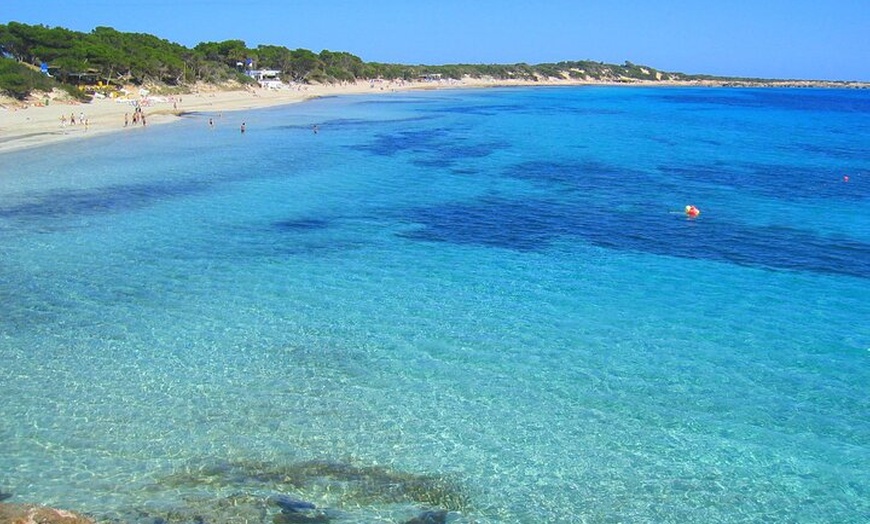 Image 12: Excursión desde Ibiza a Playa de Illetas en Catamarán con Comida