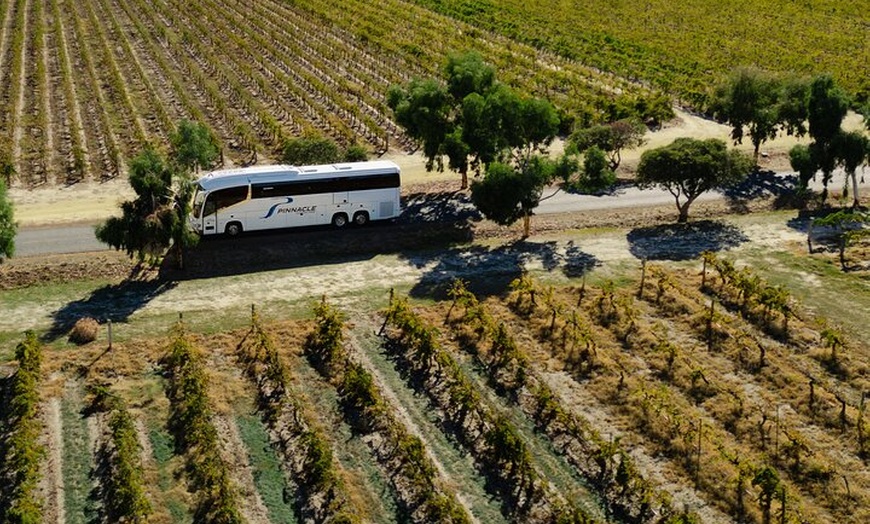 Image 9: Pinnacles Desert, Yanchep and Swan Valley with Lunch