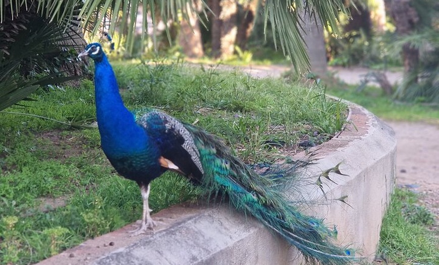 Image 4: Salou : parque Sama con 1 degustación de vermuts gratis con hotel R...