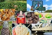 Roundtrip Shuttle From Waikiki to Dole Plantation & Haleiwa Town - Second Medium