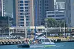 Oahu Catamaran Snorkel Tour: See Turtles 100% Guaranteed - Second Medium