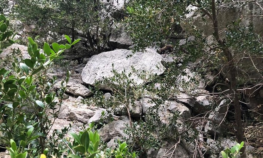 Image 24: Senderismo por el Torrente de Pareis