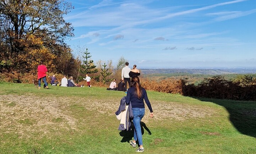 Image 4: Surrey Hills full day tour with local guide