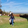 Image 4: Surrey Hills full day tour with local guide