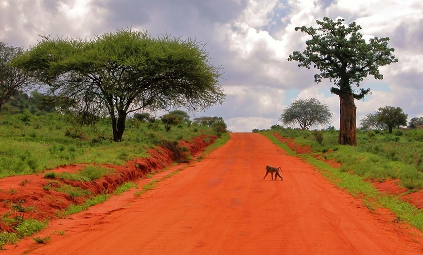 Image 9: ✈ KENYA | Mombasa - De la savane authentique aux rivages du Kenya 4...