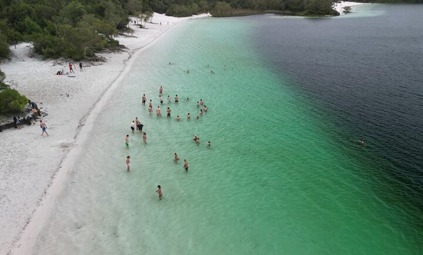 Image 20: Dingos 2 Day K'Gari (Fraser Island) 4WD Tag-Along Tour