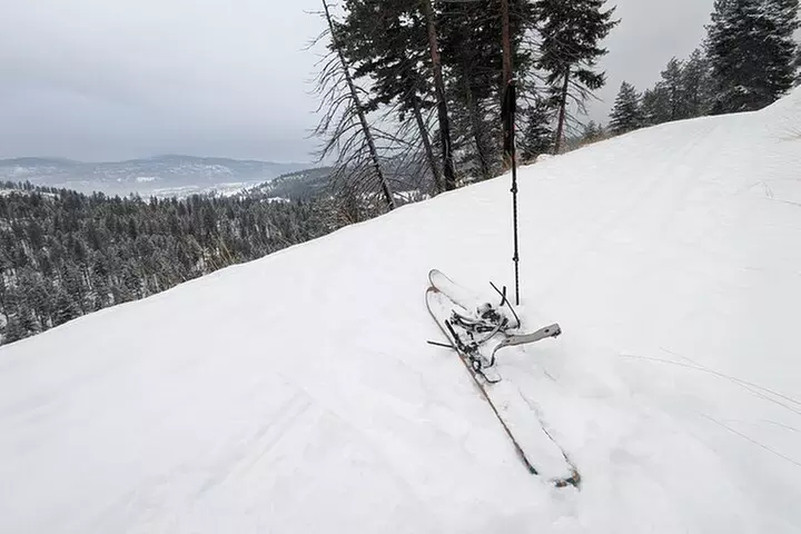 Leisurely Snowshoeing through the Bitterroot Mountains