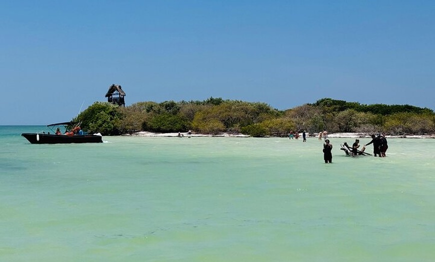Image 13: Isla Holbox Day Tour from Cancun with Lunch Included
