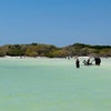 Image 13: Isla Holbox Day Tour from Cancun with Lunch Included