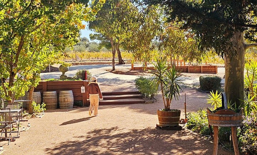 Image 9: Small-Group Murray River Adventure - Paddle Steamer & Wildlife