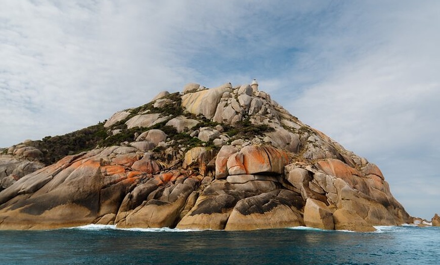Image 10: Whale Watching Cruise from Tidal River