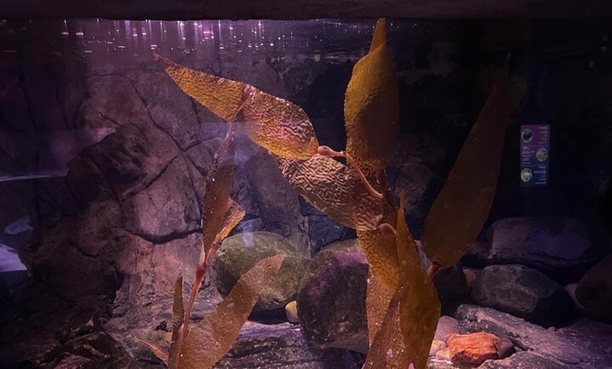 Image 23: London Walking Tour VIP