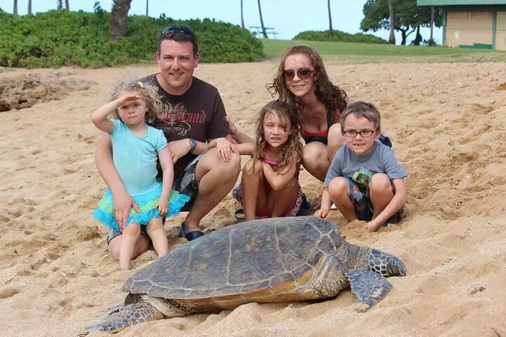 Full Day Oahu Circle Island -Turtle Beach Snorkel at North Shore