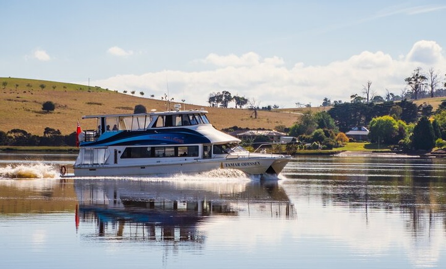 Image 8: 2.5 hour Afternoon Discovery Cruise including Cataract Gorge depart...