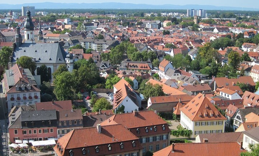 Image 3: Private Tour von Frankfurt nach Speyer Mannheim und Schwetzingen