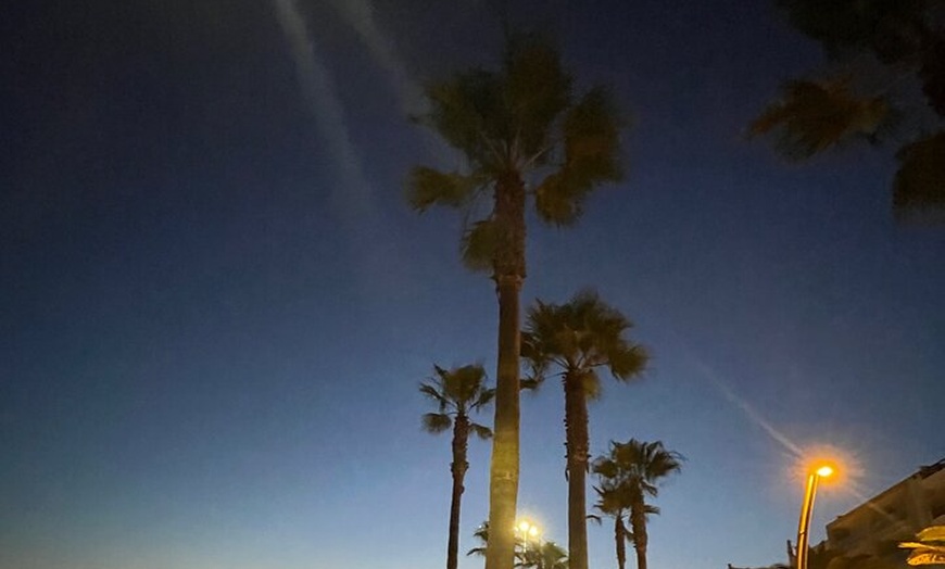 Image 6: Excursión de un Día a Jerez y Cadiz desde Sevilla