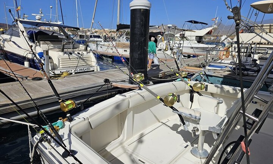 Image 11: Chárter Compartido de Pesca en Tenerife Sur de 4 Horas