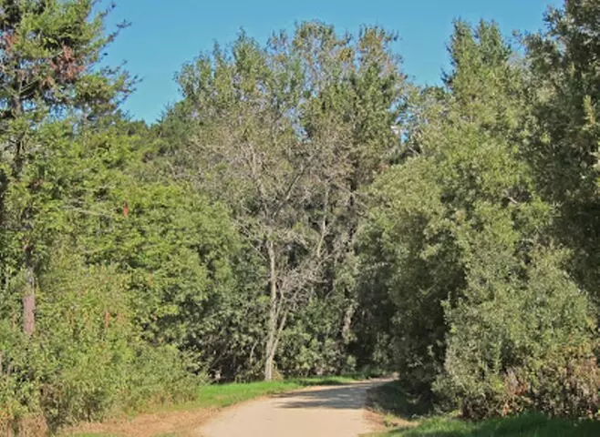 Carmel-by-the-Sea Mission Areas: A Self-Guided Audio Tour