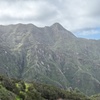 Image 24: Tour de Senderismo en Anaga : Ruta del Taborno con Vistas al Océano...