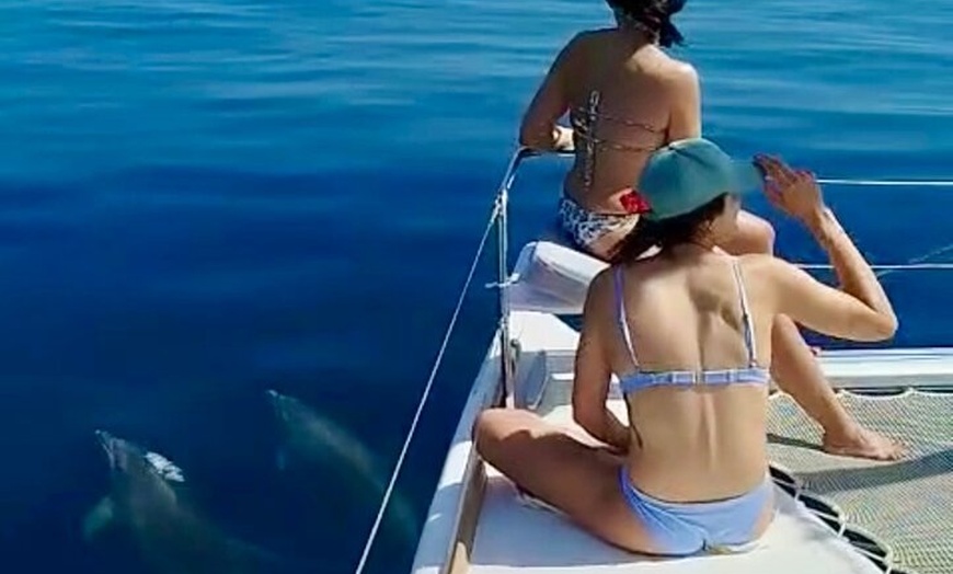 Image 11: Alquiler de Catamarán Privado de 12 Plazas en Benalmádena