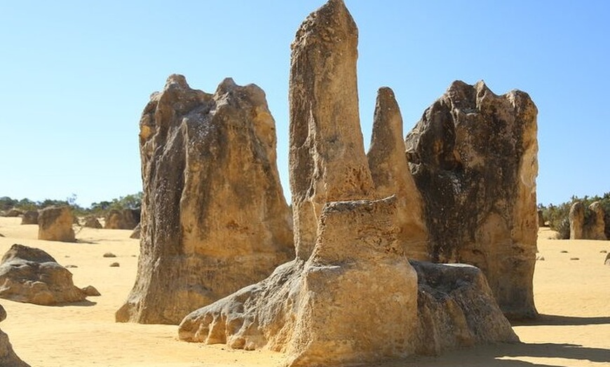 Image 5: Pinnacles Desert, Yanchep and Swan Valley with Lunch