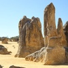 Image 5: Pinnacles Desert, Yanchep and Swan Valley with Lunch