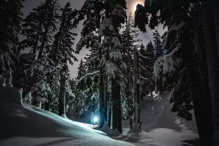 Moonlight and Starlight Snowshoe Tour