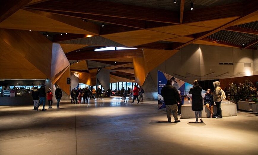 Image 3: Phillip Island Direct Tour Penguin Parade and Coastal Views