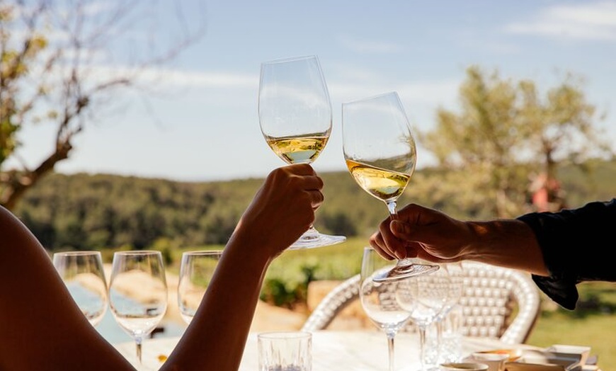 Image 22: Degustación Privada de Vinos y Cava Premium de Barcelona con Tapas