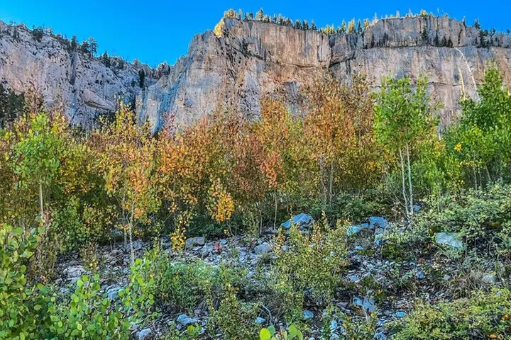 Mount Charleston Tour from Las Vegas