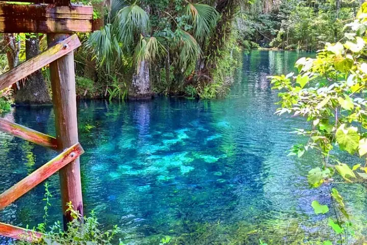 Silver Springs Jungle Kayaking and Paddleboarding