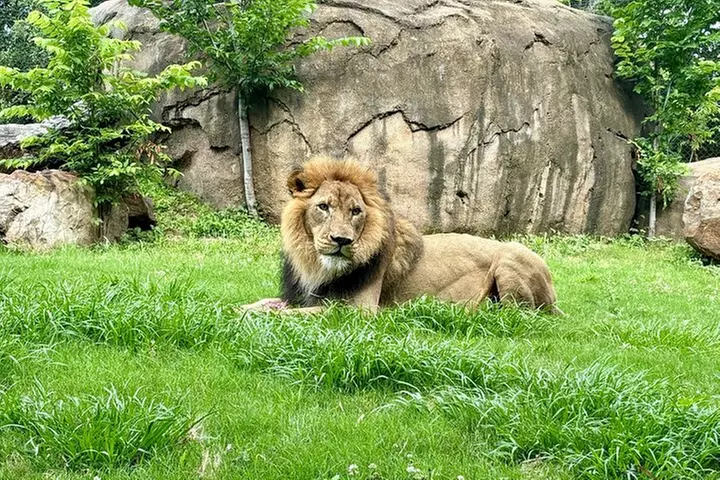 Audubon Zoo, Aquarium, and Insectarium Combo Ticket - Primary Image