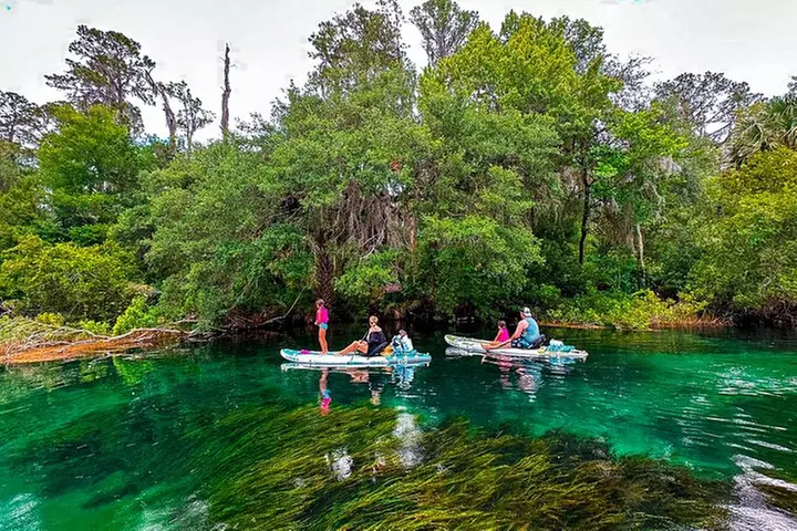 Rainbow Springs Paddle Board & Kayak Adventure