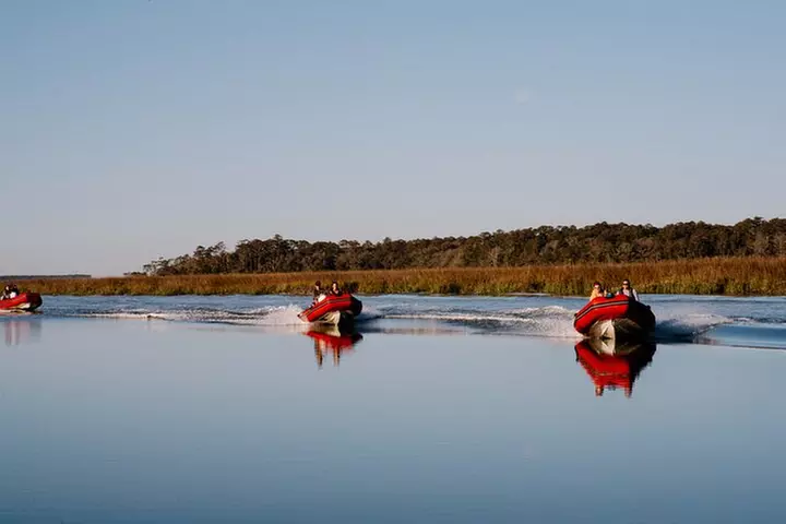 Hilton Head Sunset Dolphin and Sightseeing Tour via Mini Boat