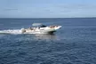 Speedboat Express Luxury - Image 4