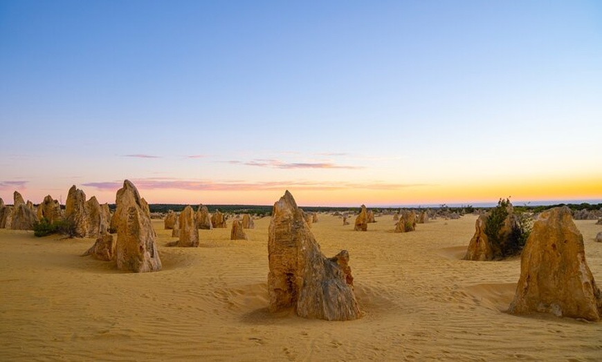 Image 15: Private Pinnacles Desert Tour from Perth