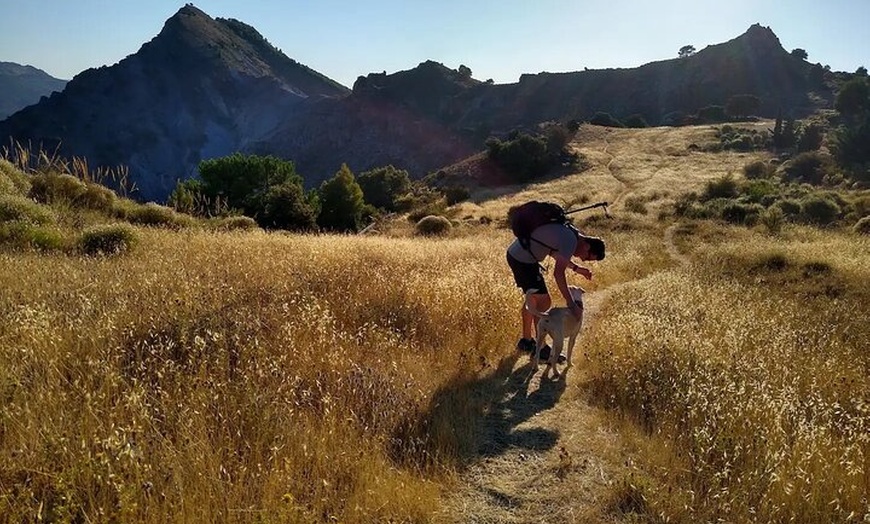Image 34: NUEVO:Sunset Hike & Summit Sierra Nevada - Tour privado con cachorro