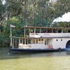 Image 14: Small-Group Murray River Adventure - Paddle Steamer & Wildlife